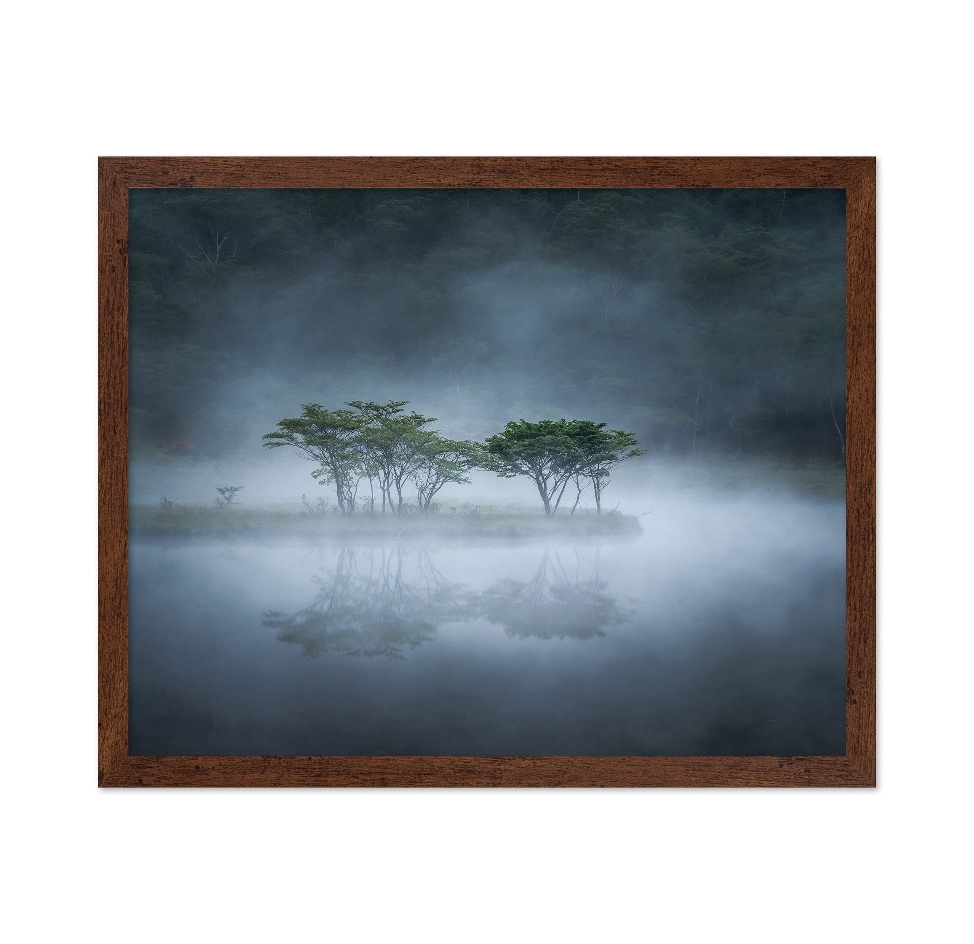 Misty Lake Trees