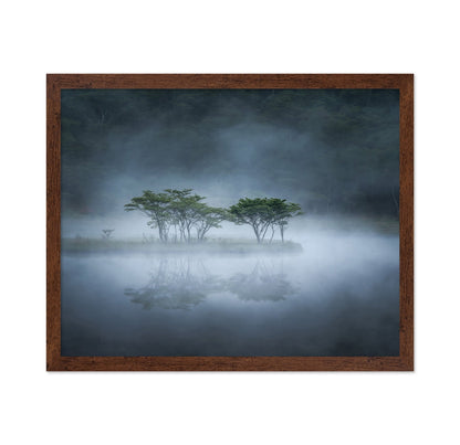 Misty Lake Trees