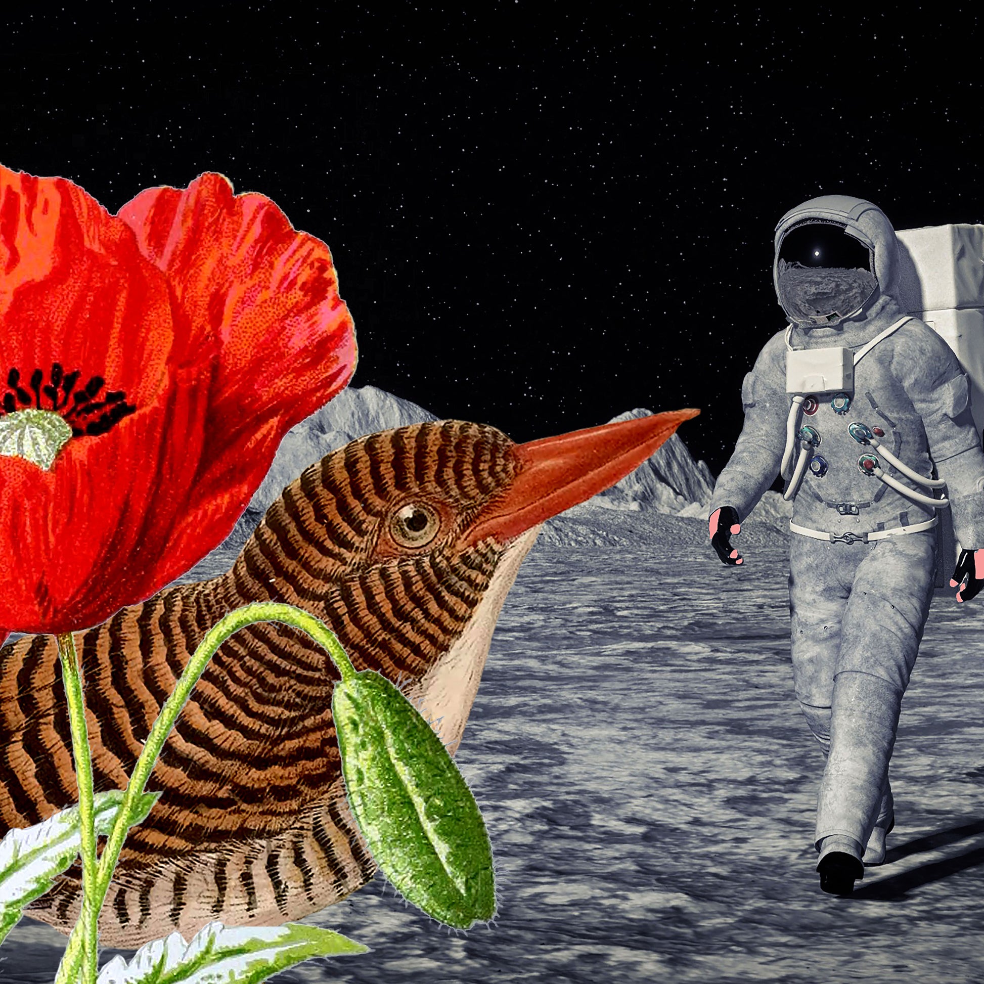 Space Bird Dream
