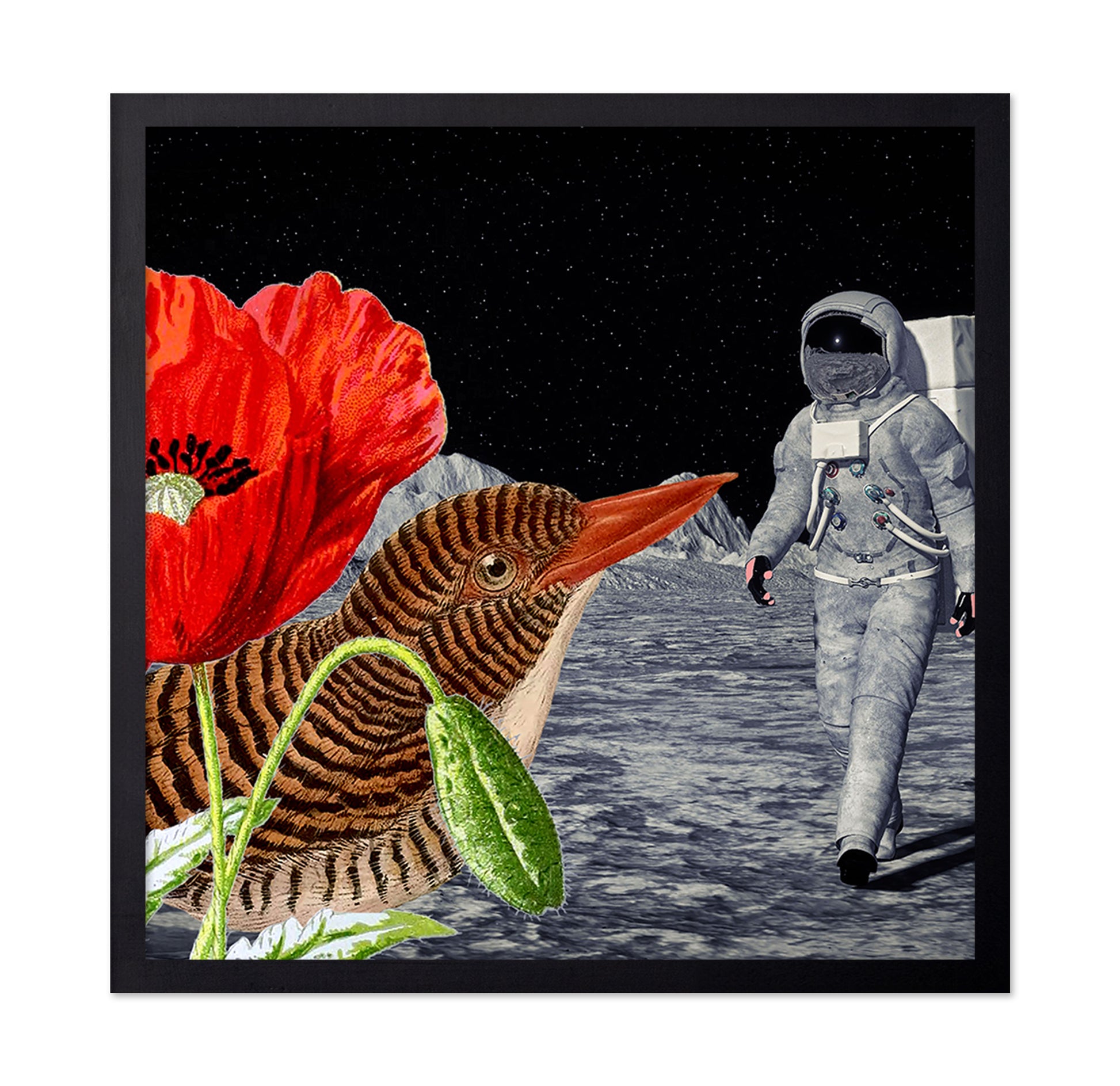 Space Bird Dream