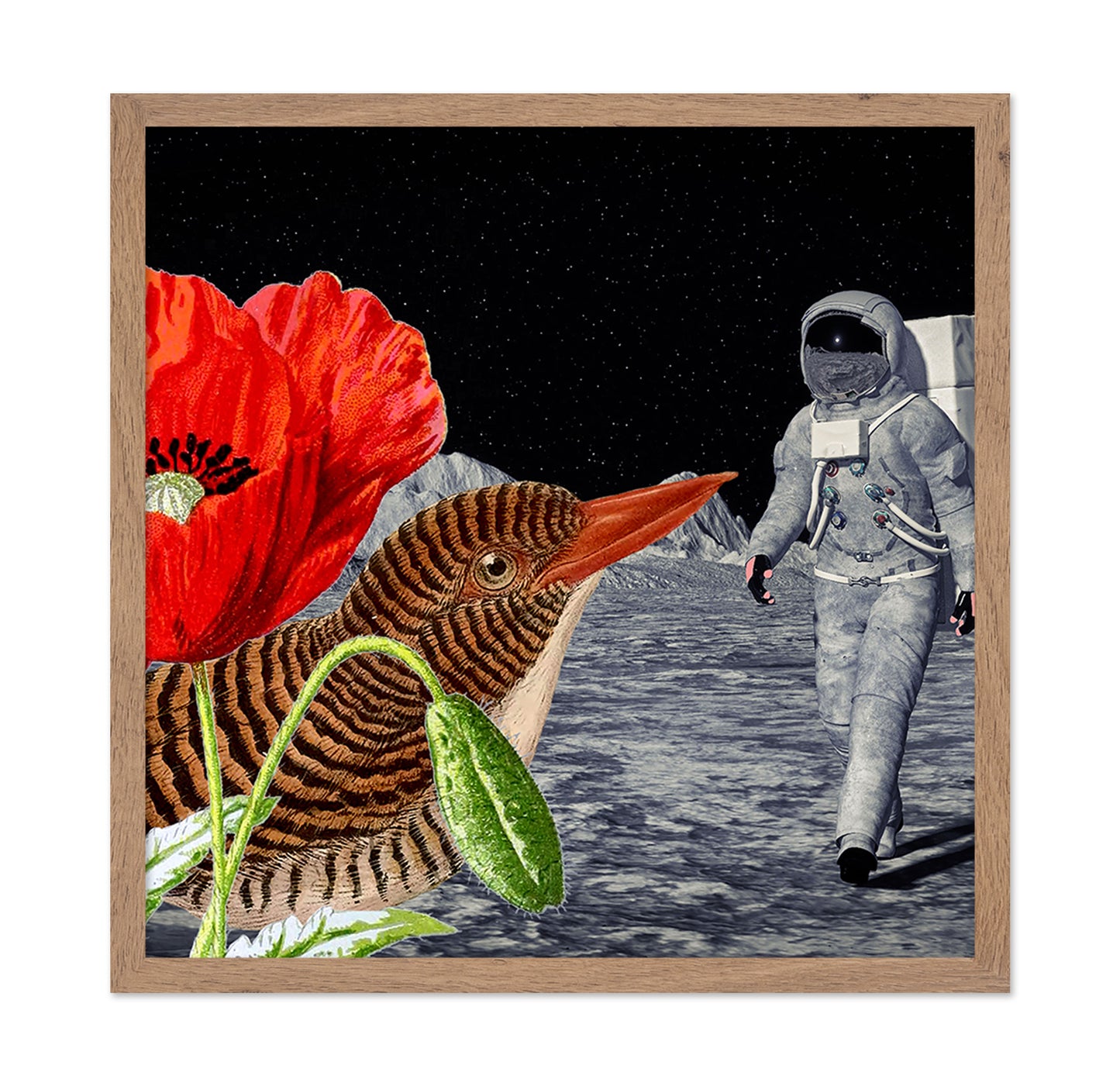Space Bird Dream