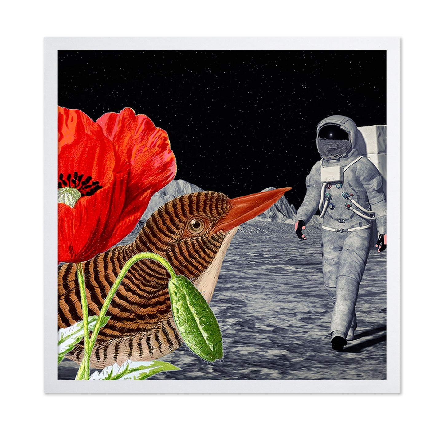 Space Bird Dream