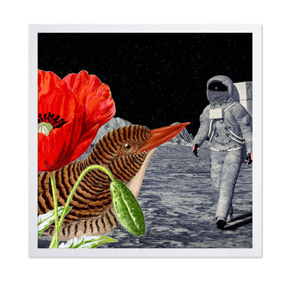 Space Bird Dream