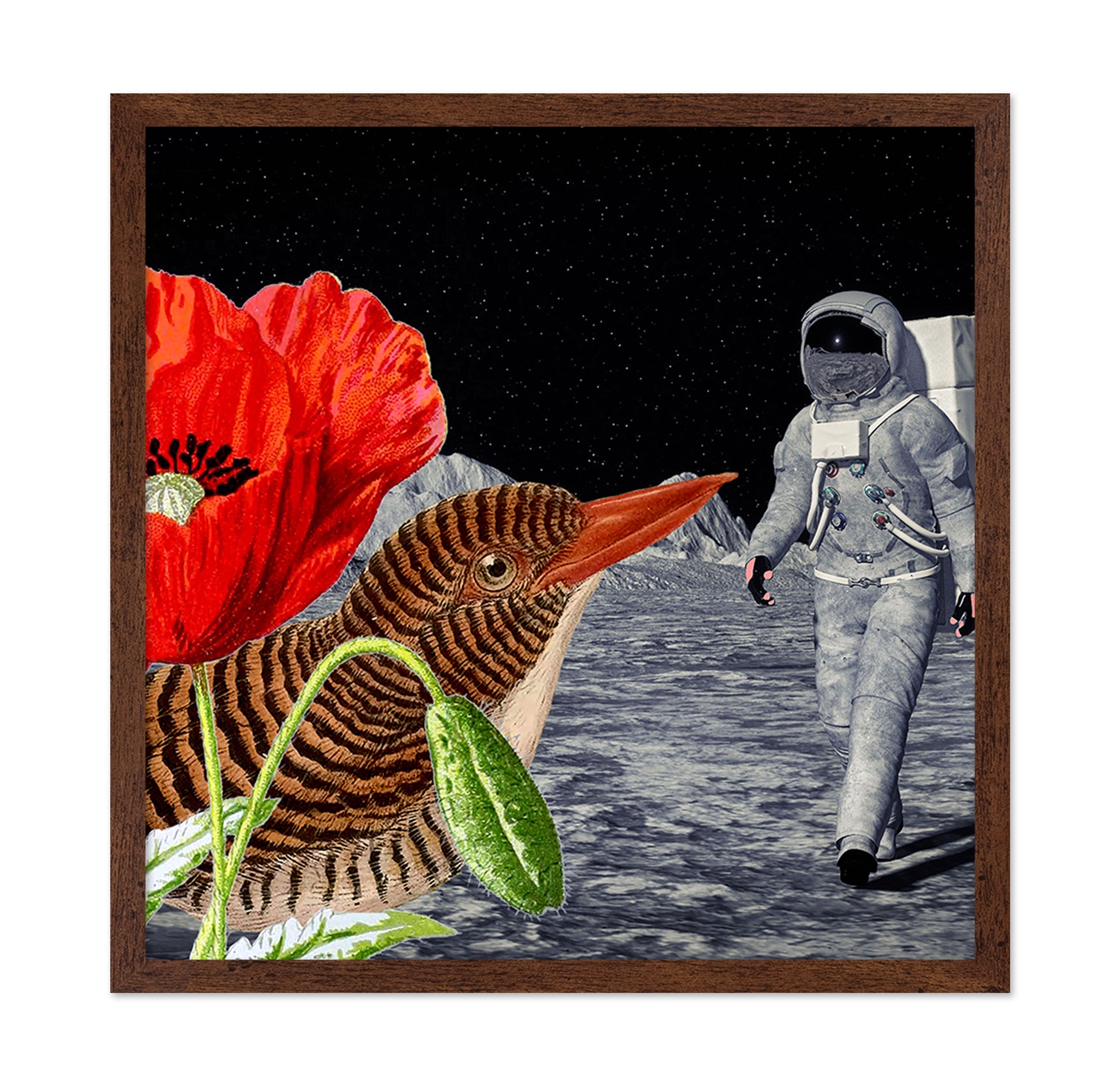 Space Bird Dream