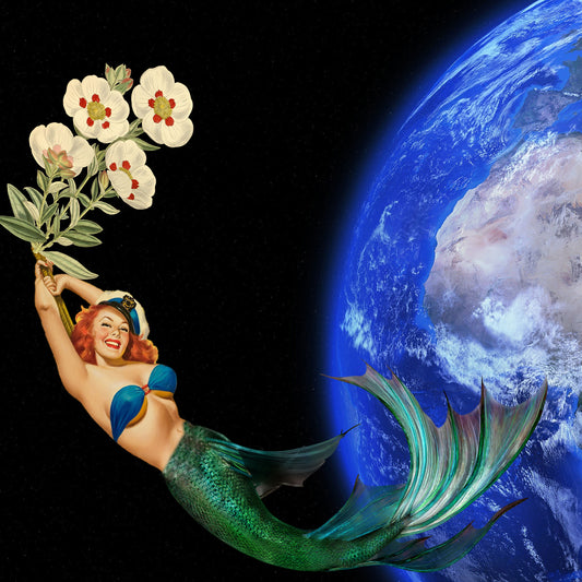 Mermaid In Space