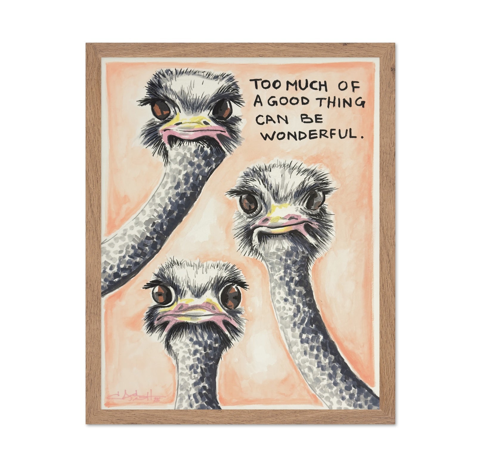 Funny Ostrich Trio