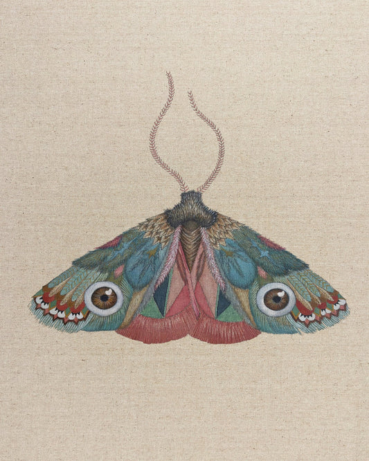 Brown Eye Moth