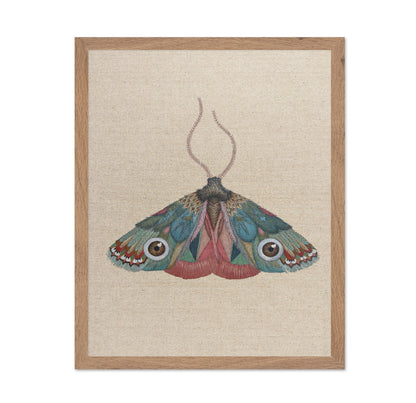 Brown Eye Moth