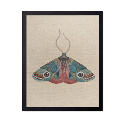 Brown Eye Moth