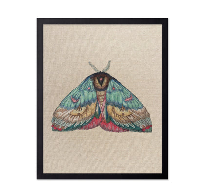 Soft Wing Moth
