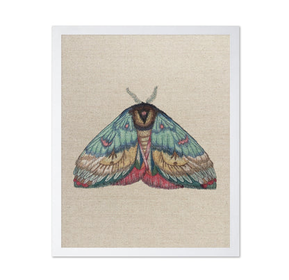 Soft Wing Moth