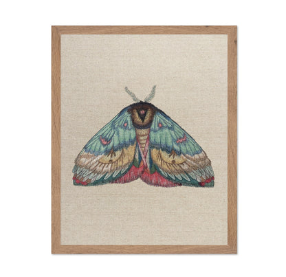 Soft Wing Moth