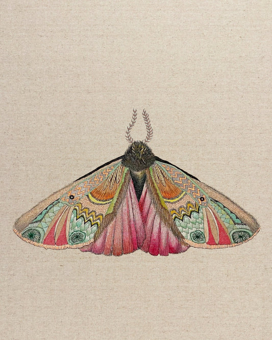 Zigzag Wing Moth