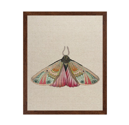 Zigzag Wing Moth