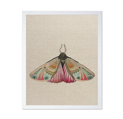 Zigzag Wing Moth