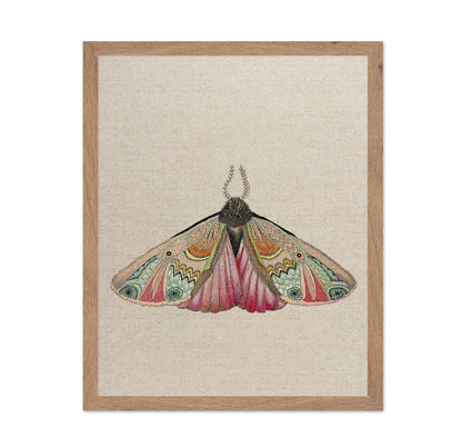 Zigzag Wing Moth