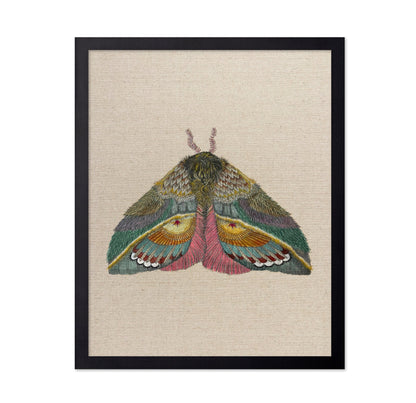Golden Fan Moth