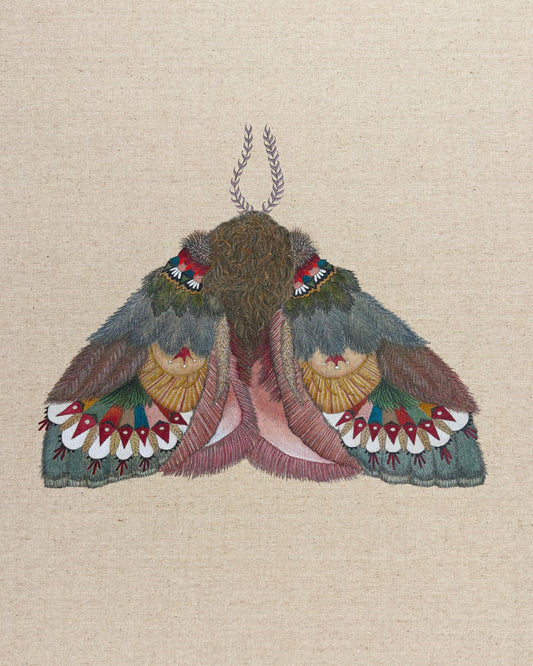 Folk Pattern Moth