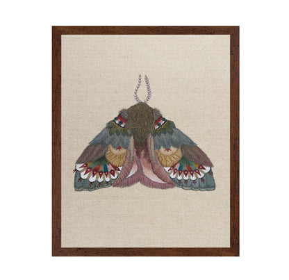 Folk Pattern Moth