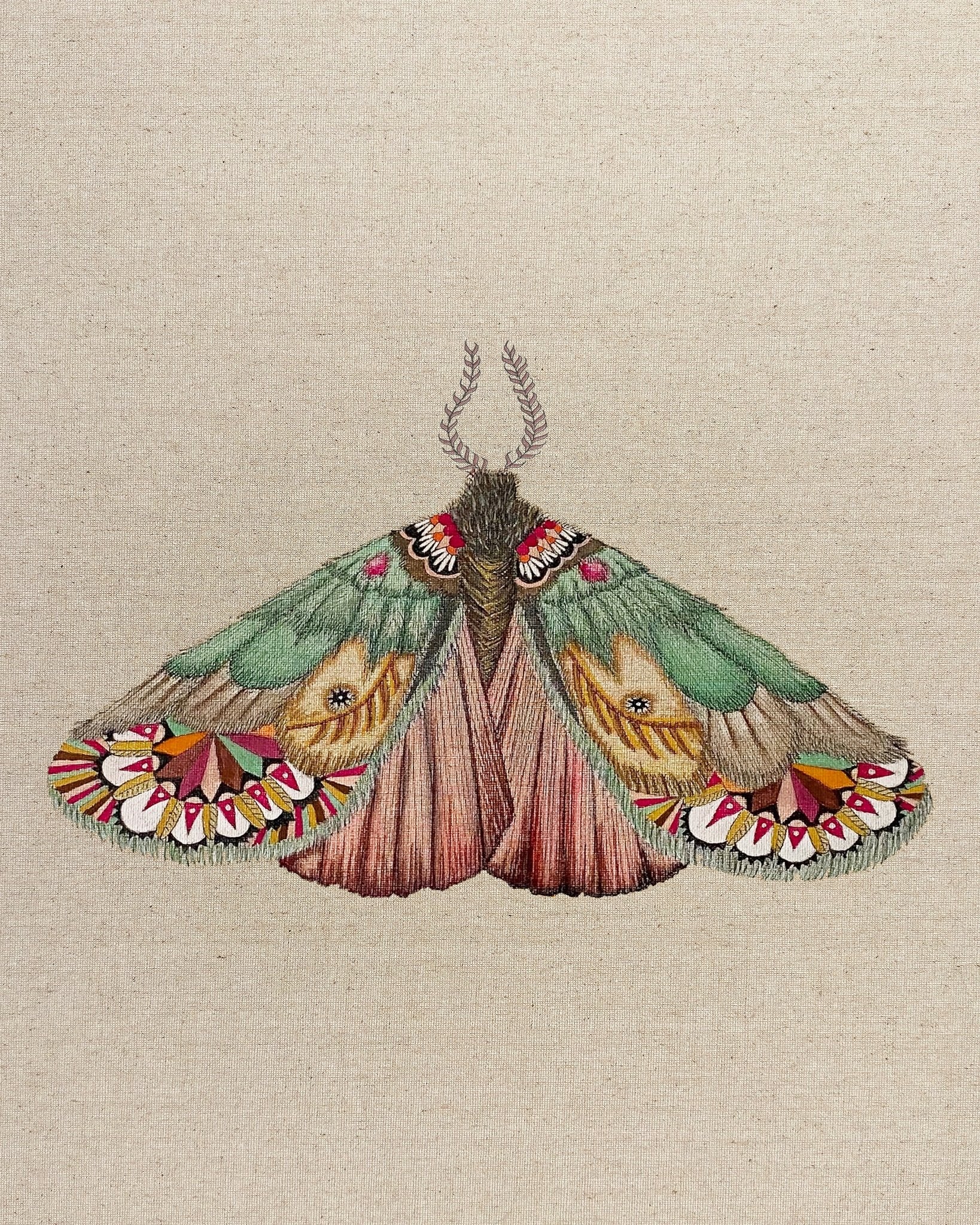 Patchwork Wing Moth
