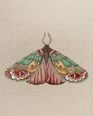 Patchwork Wing Moth