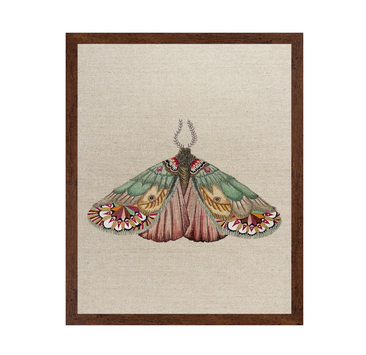 Patchwork Wing Moth