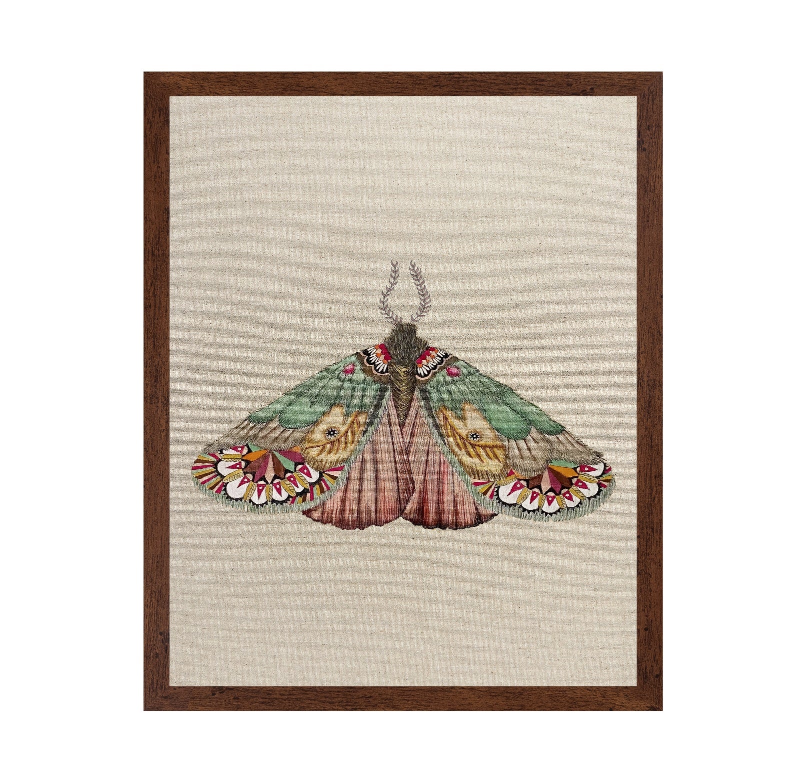Patchwork Wing Moth