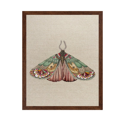 Patchwork Wing Moth