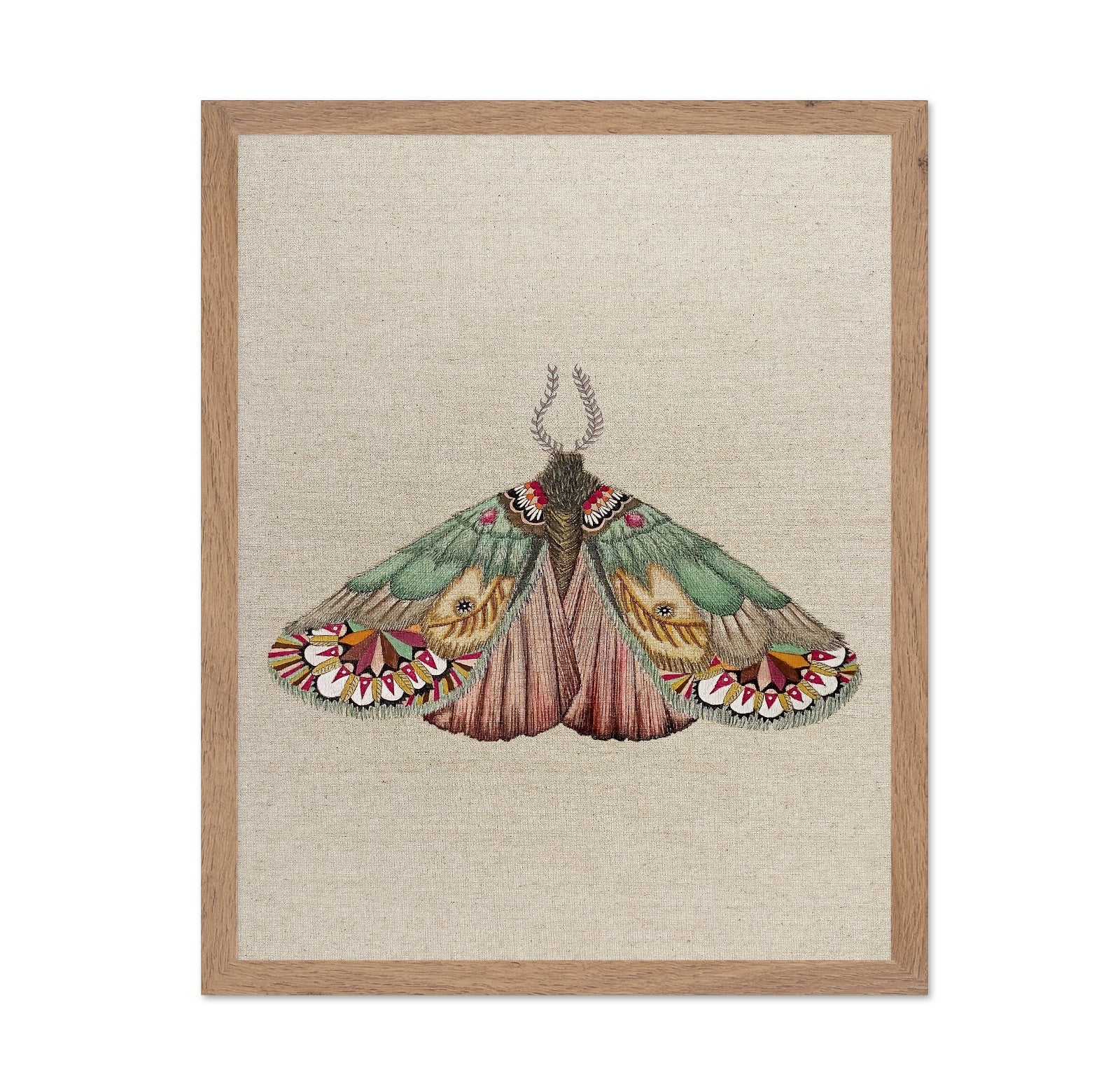 Patchwork Wing Moth
