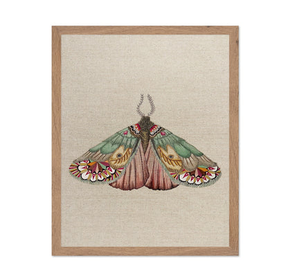 Patchwork Wing Moth