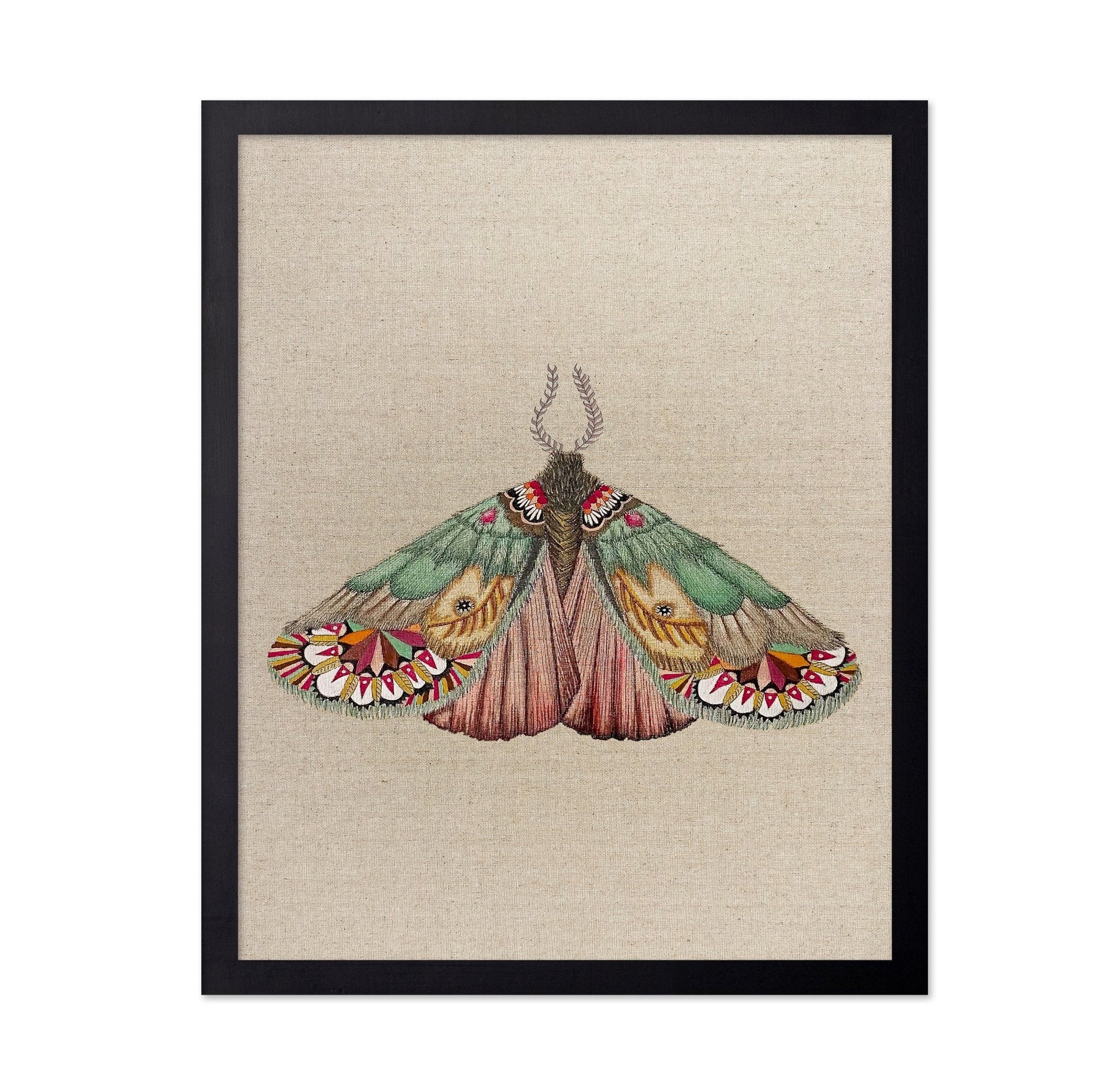 Patchwork Wing Moth