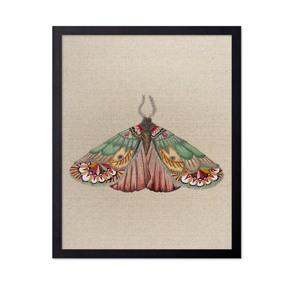 Patchwork Wing Moth