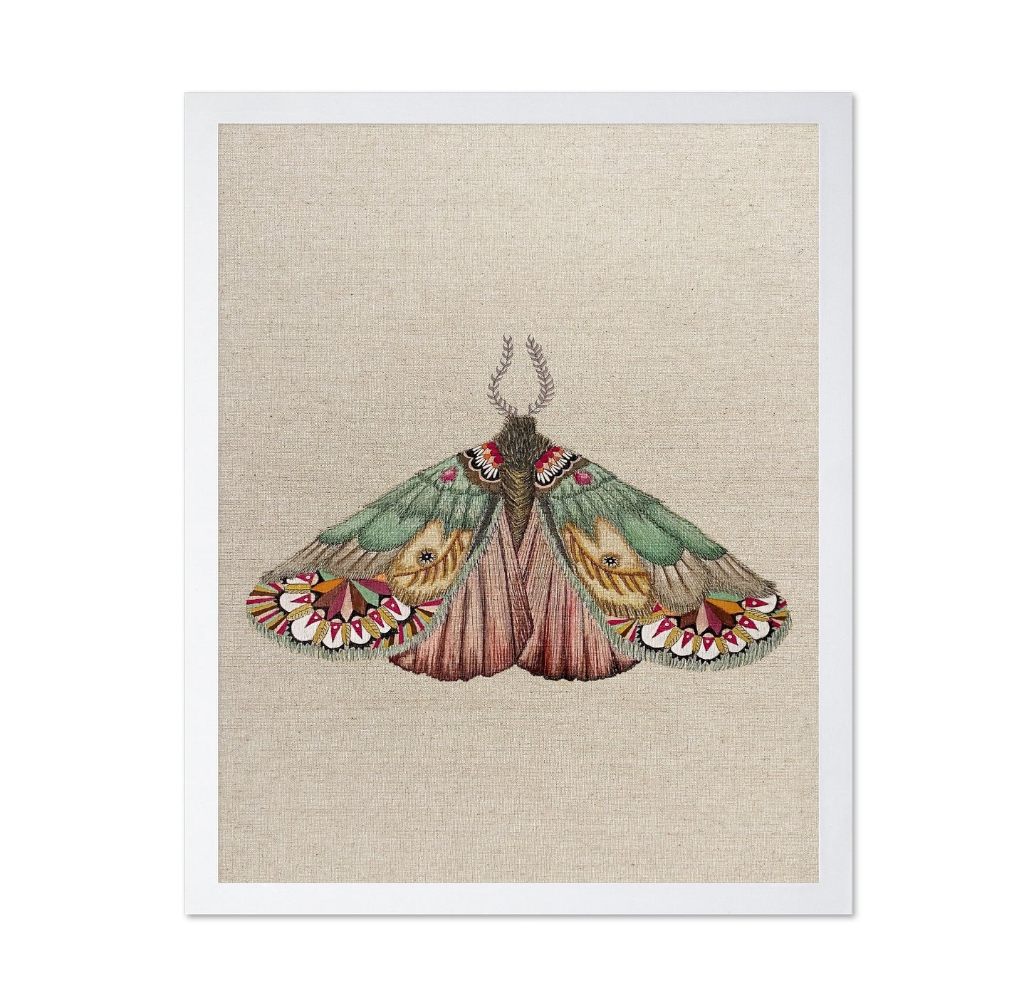 Patchwork Wing Moth