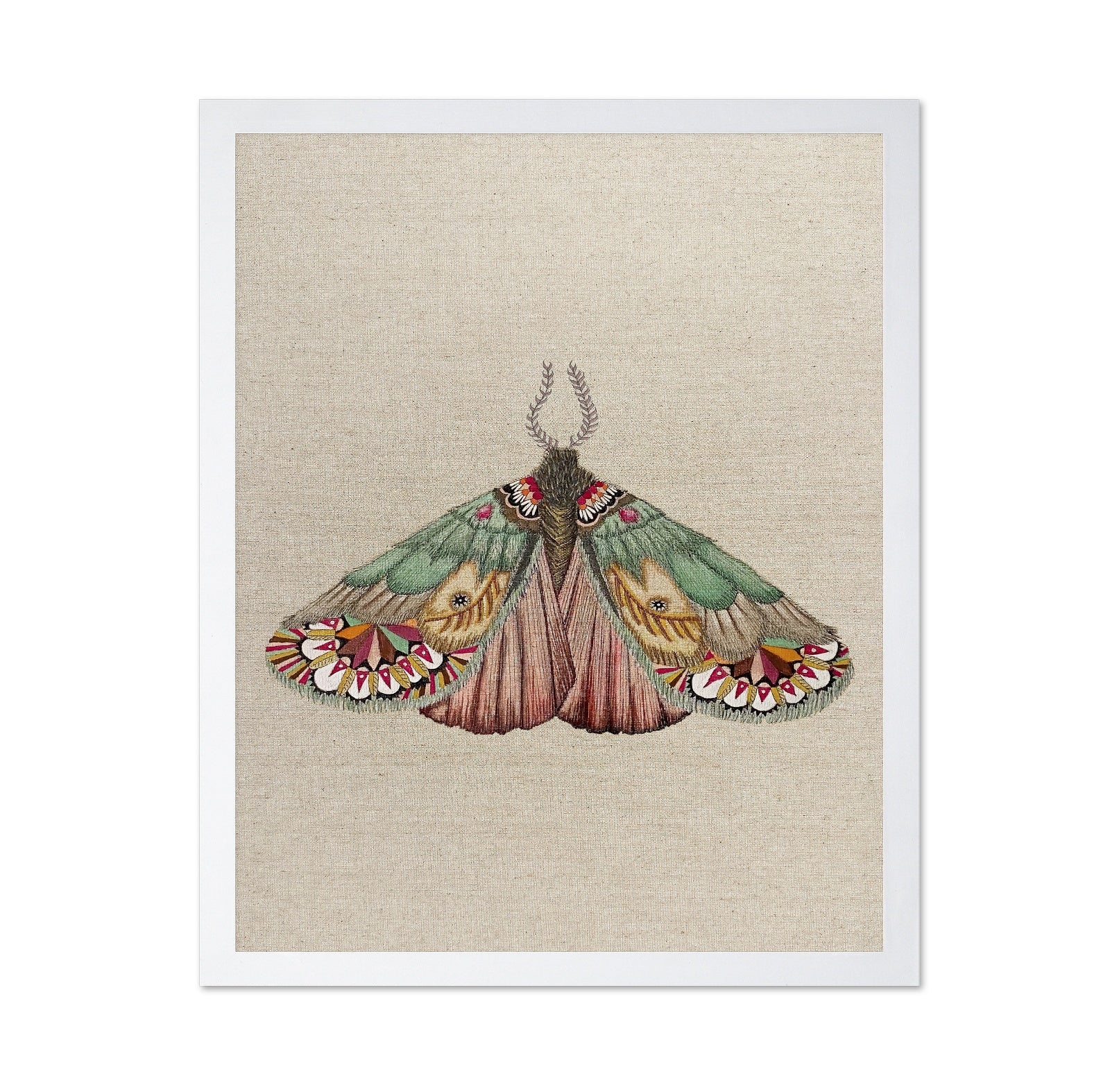 Patchwork Wing Moth