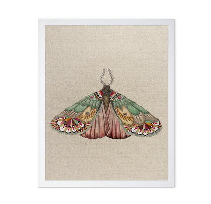 Patchwork Wing Moth