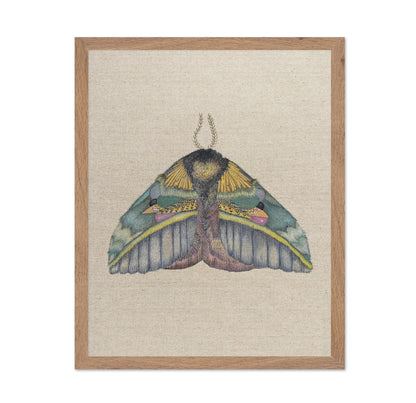 Golden Crest Moth