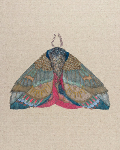 Sunmark Wing Moth