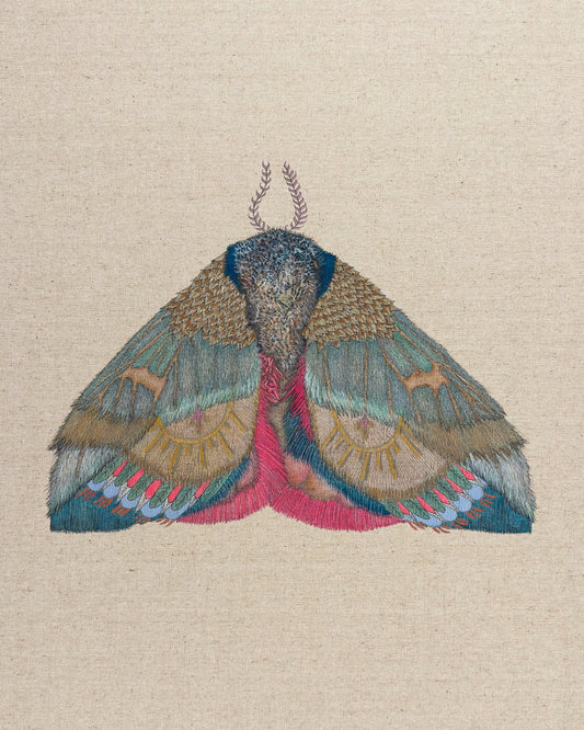 Sunmark Wing Moth