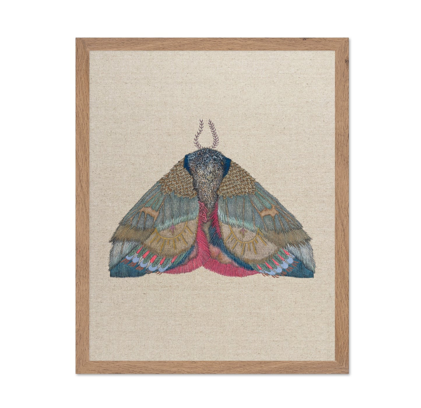 Sunmark Wing Moth