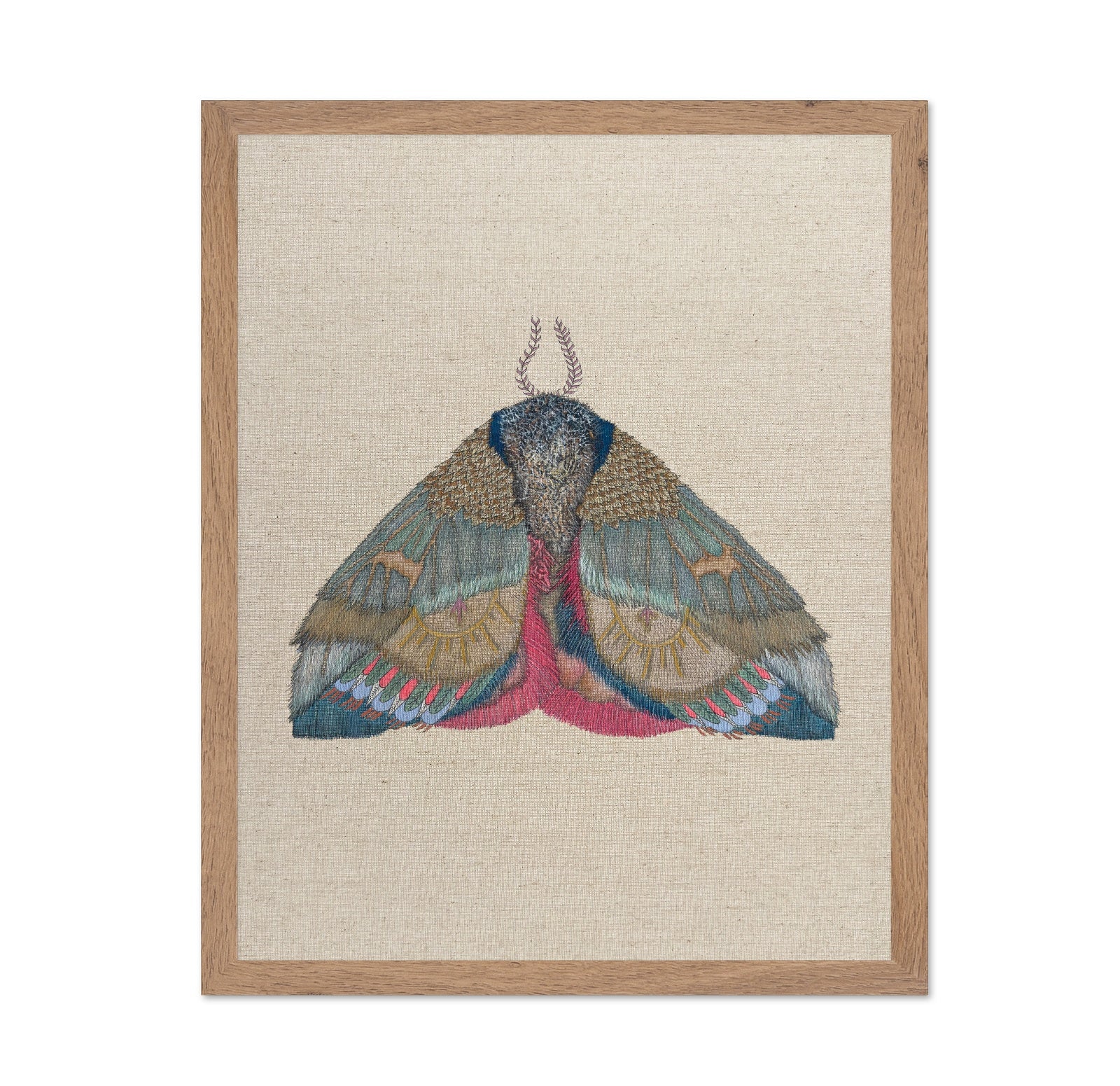 Sunmark Wing Moth
