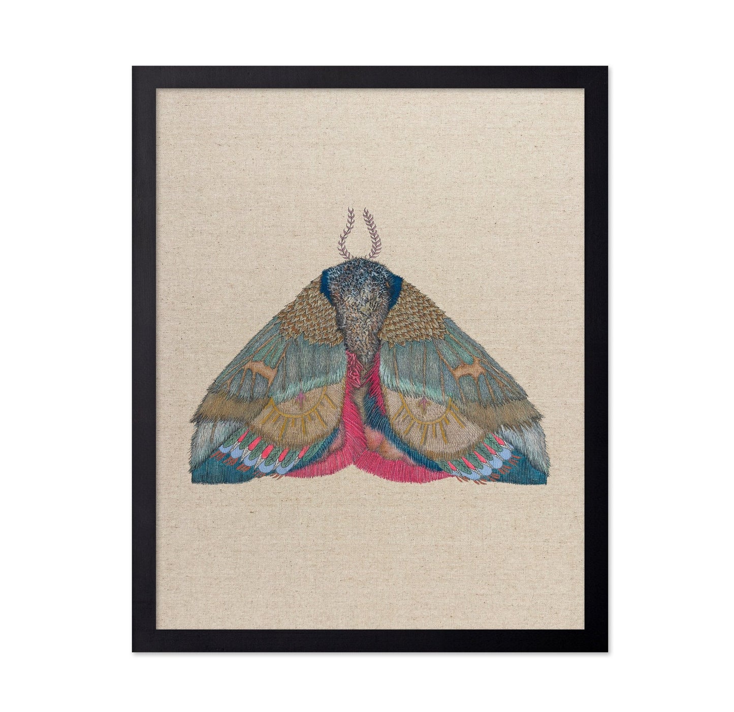 Sunmark Wing Moth