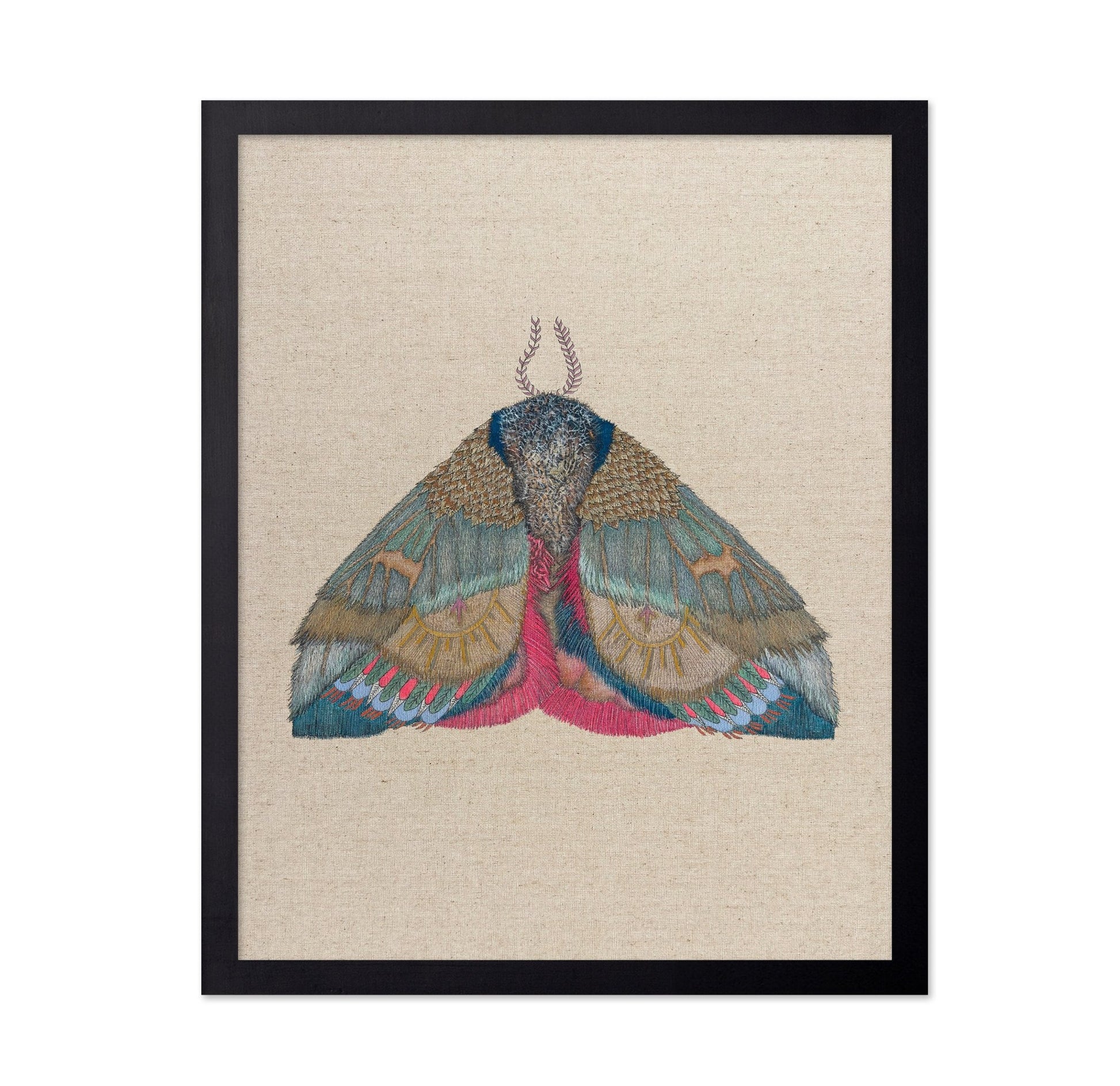 Sunmark Wing Moth