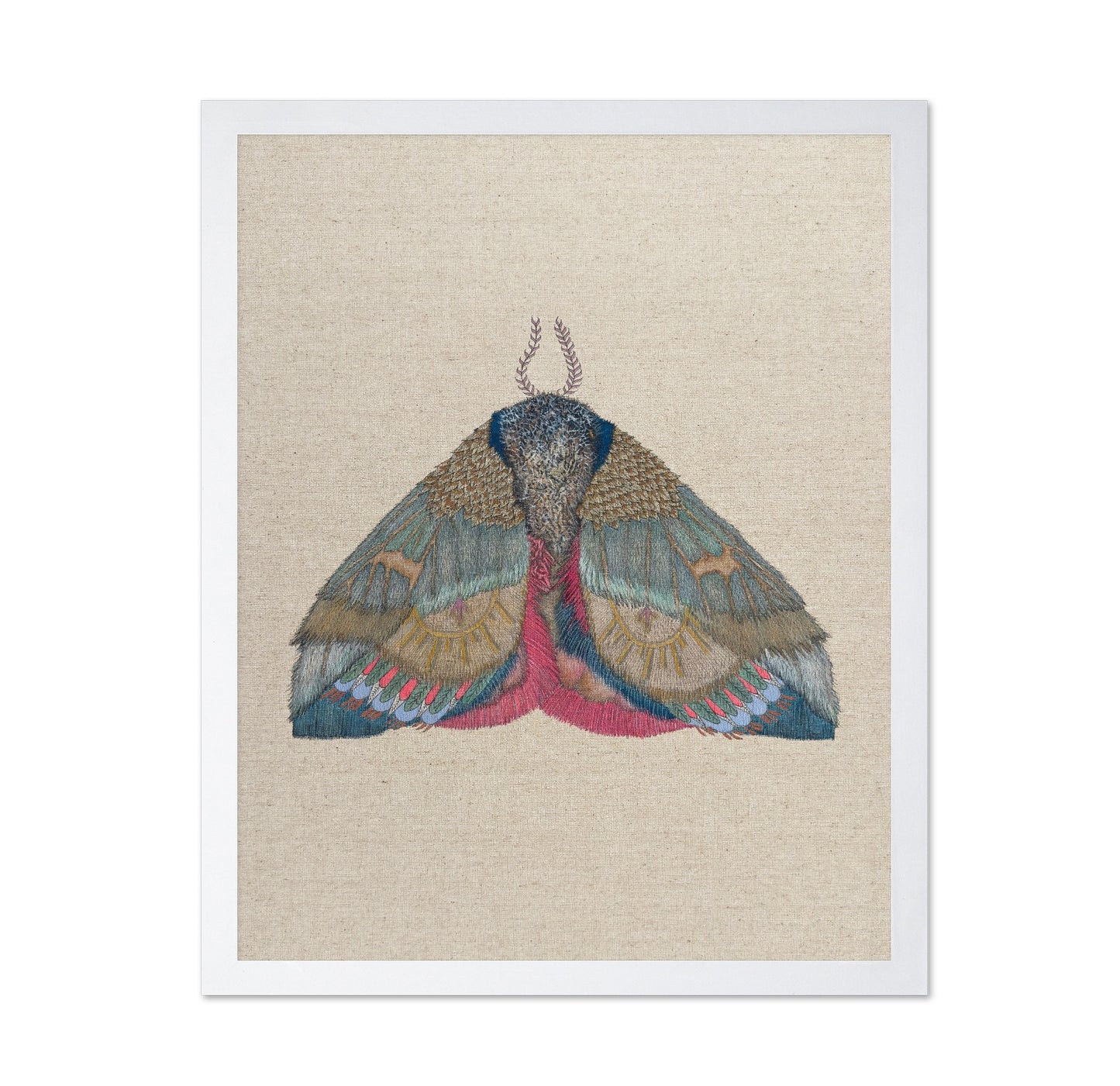 Sunmark Wing Moth