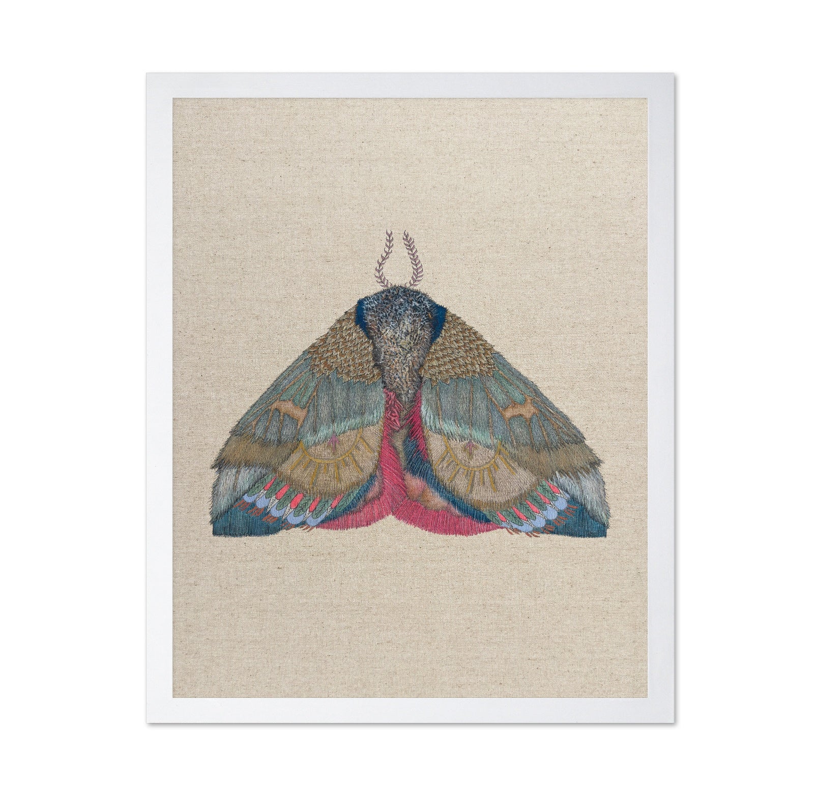 Sunmark Wing Moth