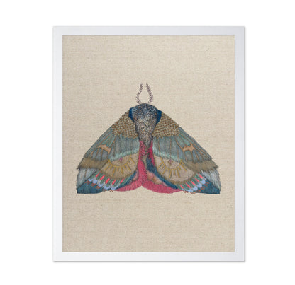 Sunmark Wing Moth