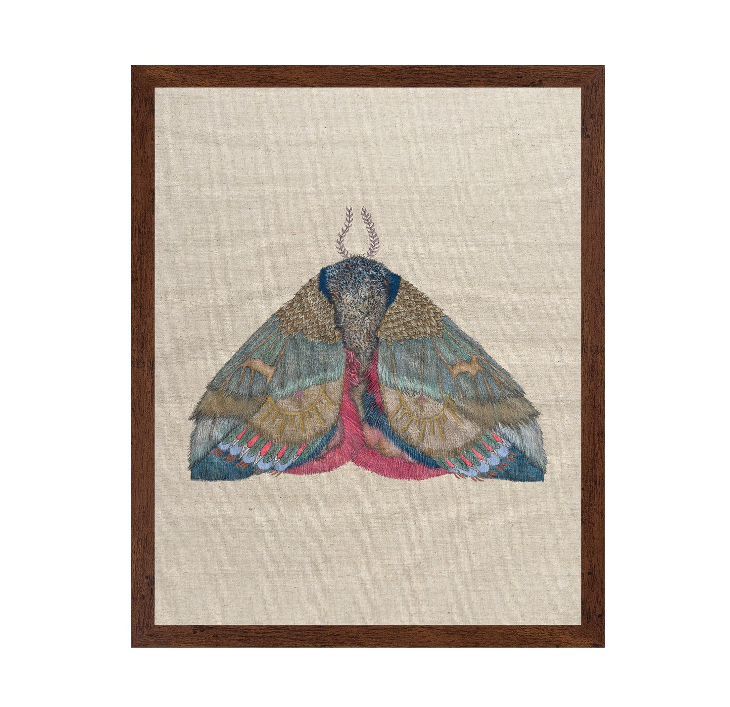 Sunmark Wing Moth