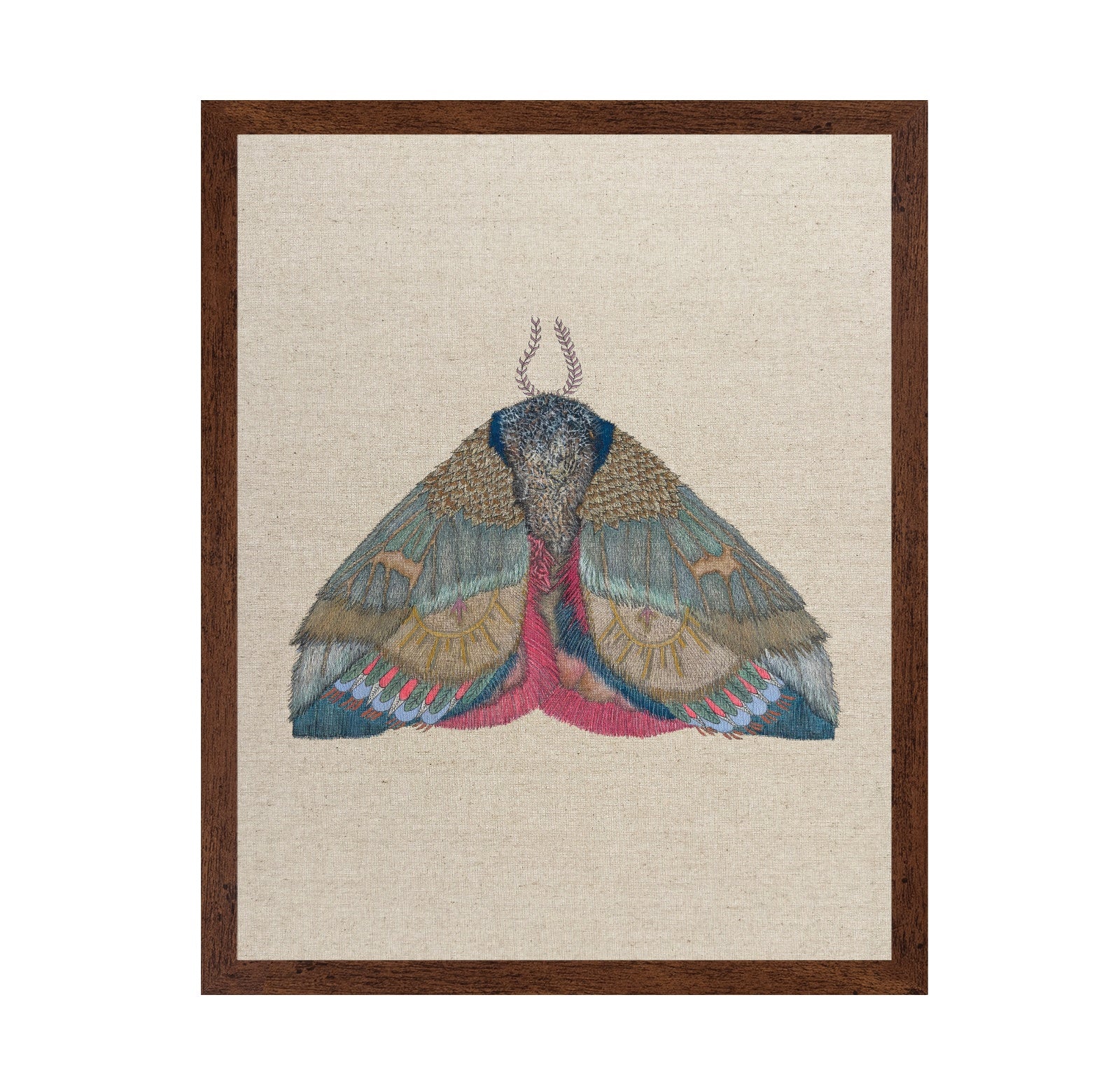 Sunmark Wing Moth