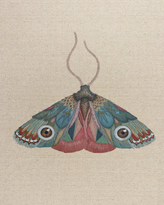 Jewel Eye Moth