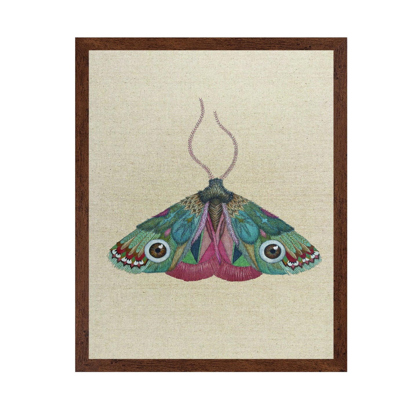 Jewel Eye Moth
