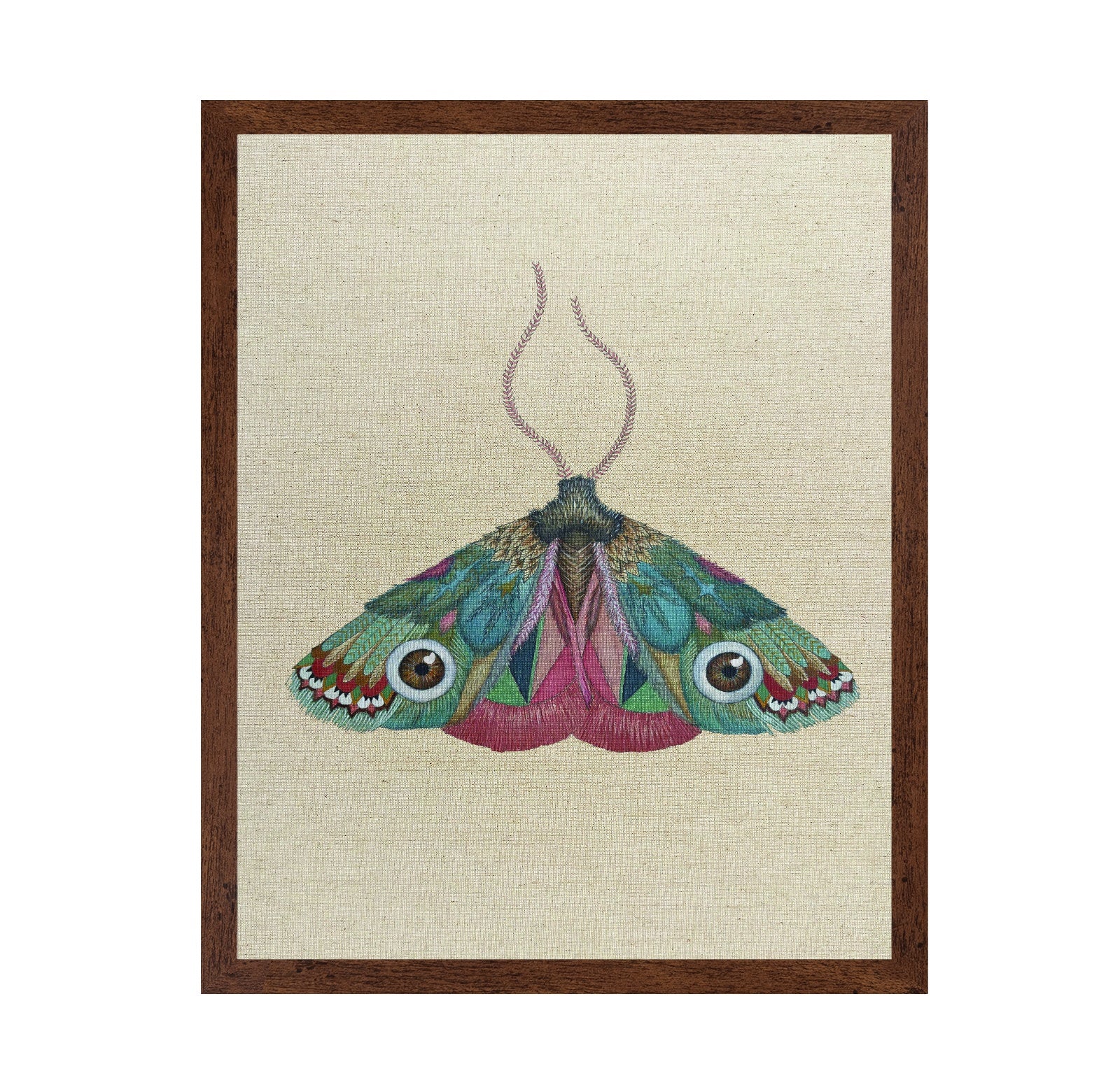 Jewel Eye Moth